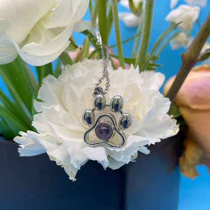 Collier Personnalisé pour Animal - Amour Inconditionnel