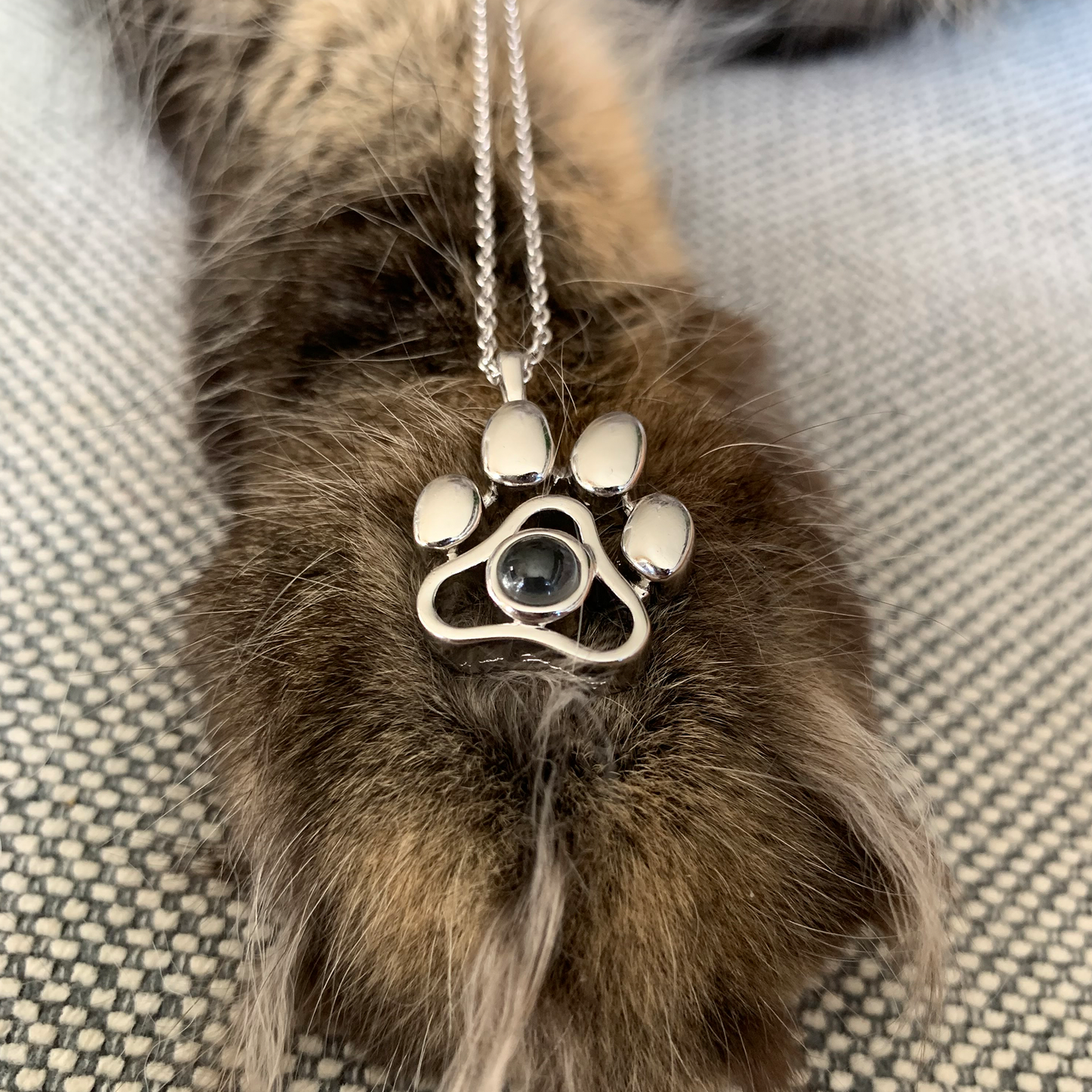 Collier Personnalisé pour Animal - Amour Inconditionnel