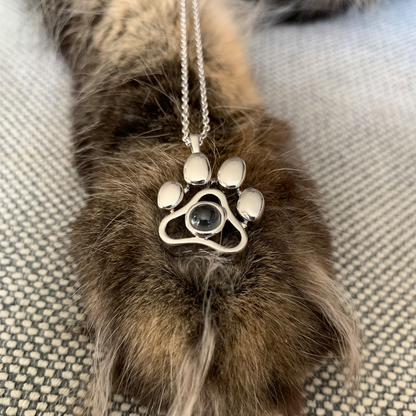 Collier Personnalisé pour Animal - Amour Inconditionnel
